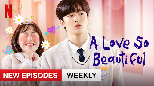 A Love So Beautiful Netflix Official Site