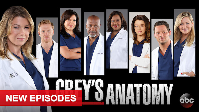 Grey's Anatomy (2020) - Netflix | Flixable