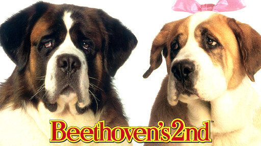 Beethoven 1 Movie Free